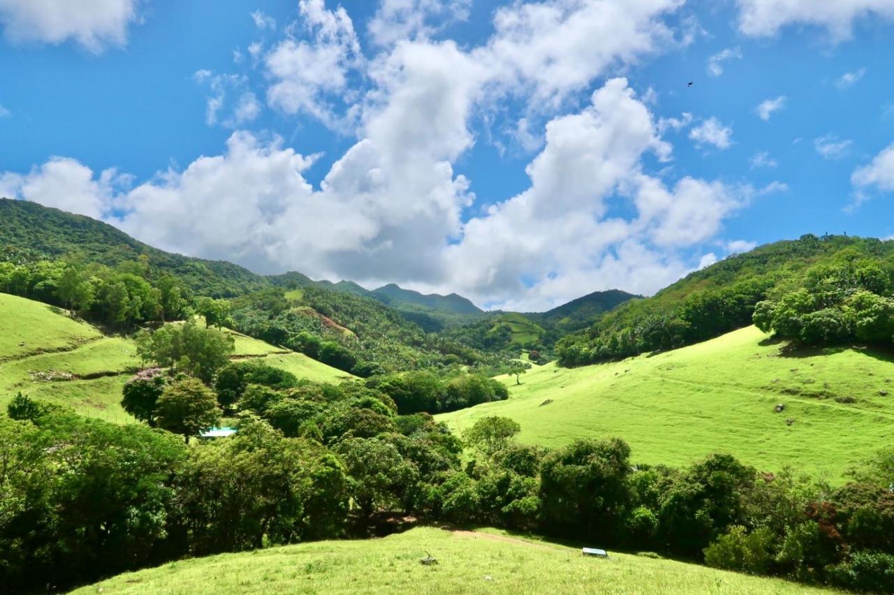 Ferney Nature Lodge Mahebourg Bagian luar foto